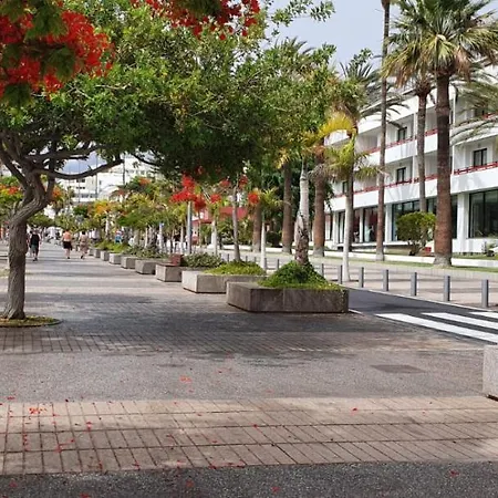 Apartamento Playa De Americas-parque Santiago Ii